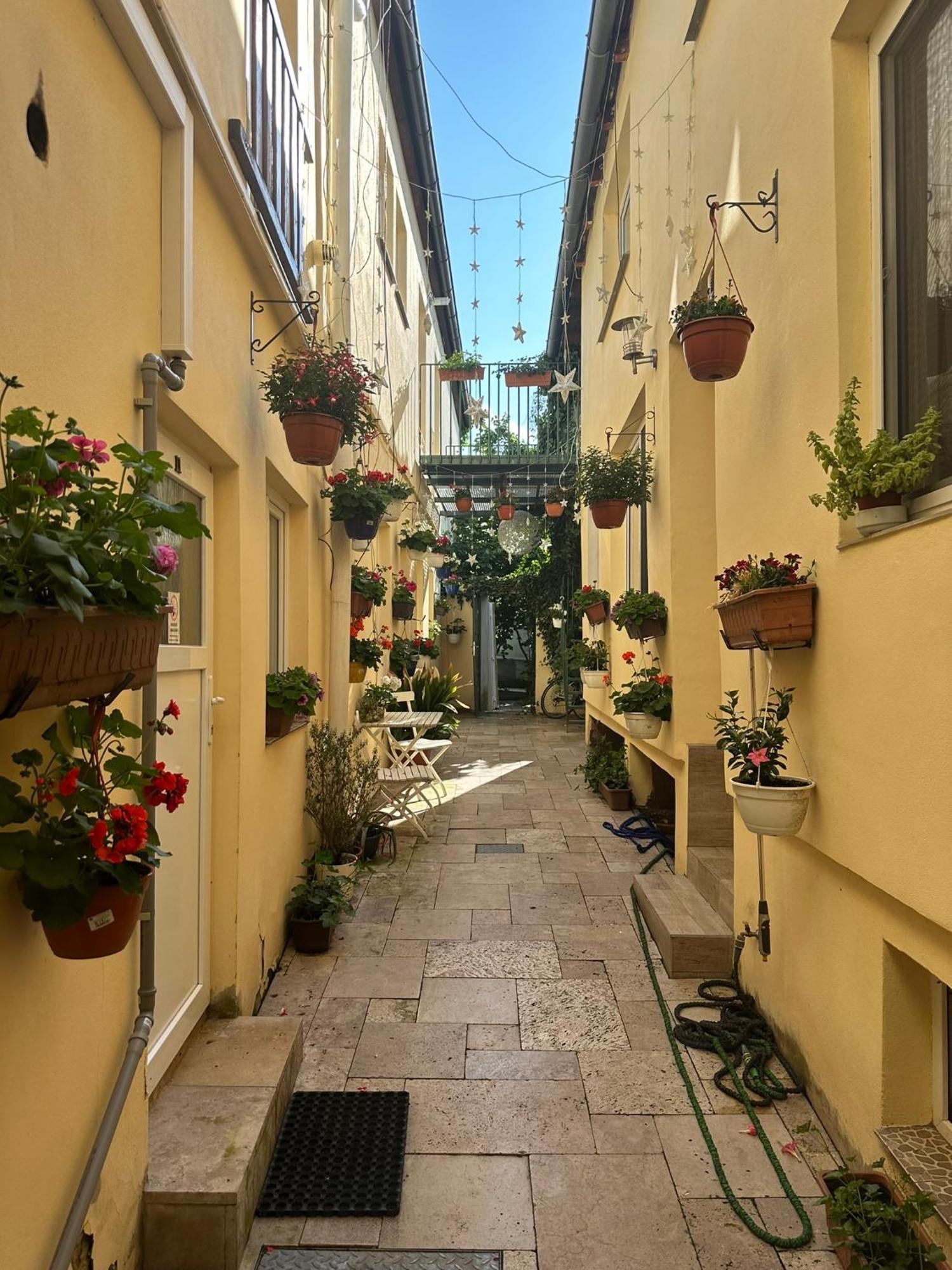 Penzion 4 Dvory Ceske Budejovice Exteriör bild