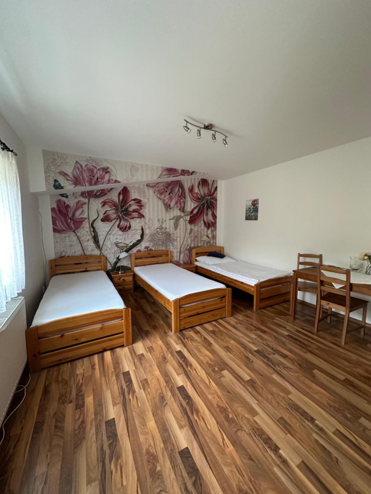 Penzion 4 Dvory Ceske Budejovice Exteriör bild